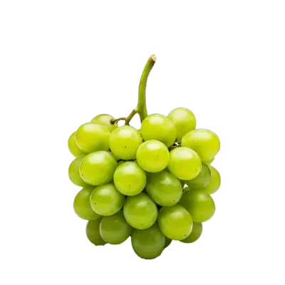 Imagen PNG para descargar